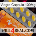 Viagra Capsule 100Mg new05